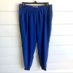 Joie  Dress Pant / Joggers with Elastic Waist Size Medium